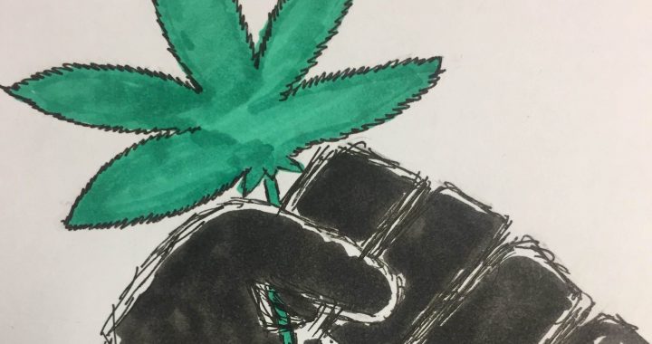 Weed is the New Marihuana: Why Marijuana Should be Legalized