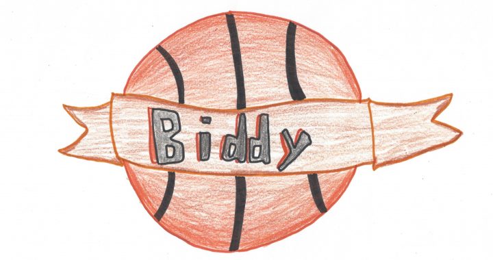 Why You Should Join Biddy Basketball
