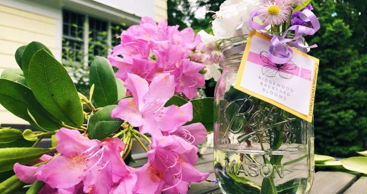 Ridgewood Backyard Blooms: A Garden of Hope