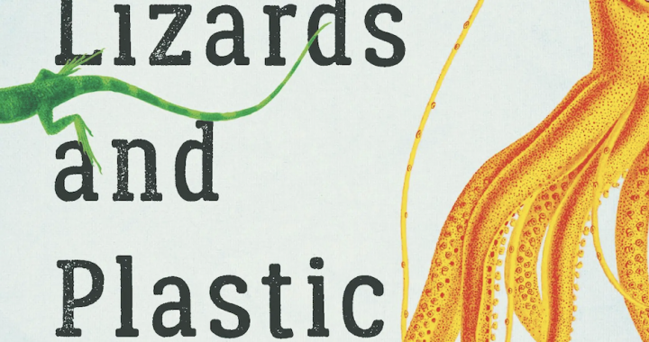 Hurricane Lizards and Plastic Squid: March Book Review