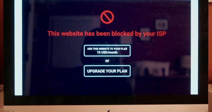 Net Neutrality: the Cornerstone of the Internet