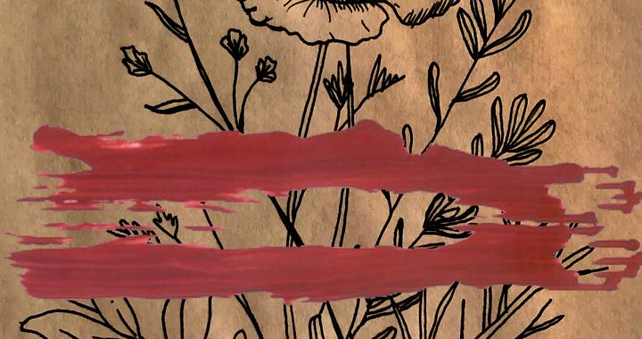 Artist Spotlight: Ana Mendieta