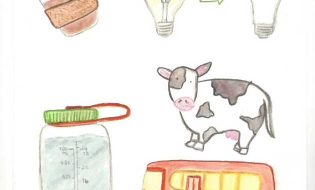 Ways to Reduce Your Carbon Footprint