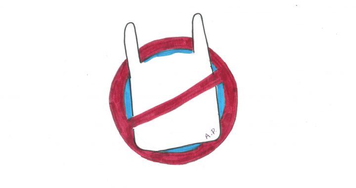 Ridgewood’s Bag Ban: Will This Small Step Benefit Our Community?