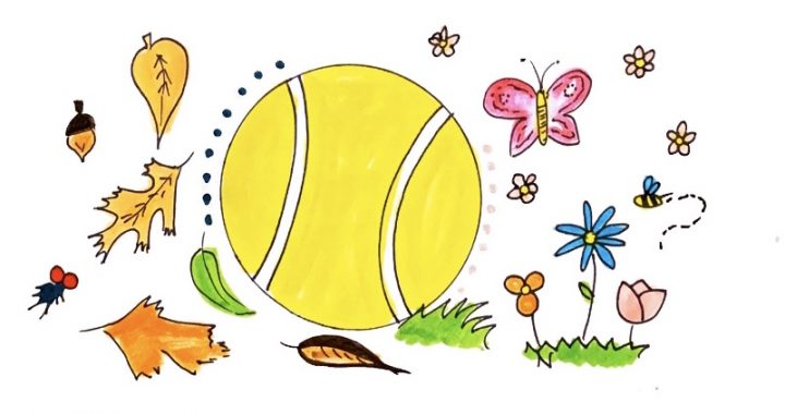 Tennis’ Separated Seasons