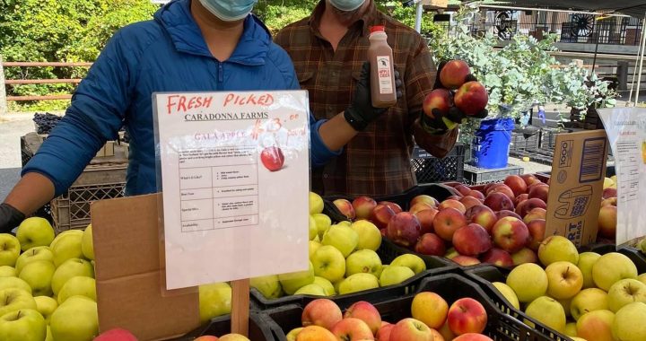 How Have Ridgewood Businesses Survived the Pandemic?